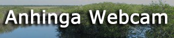 Anhinga Trail Webcam