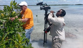 Ecologist Dan Simberloff being filmed by a camera man, entering a mangrove estuary