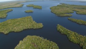 Gulf Coast