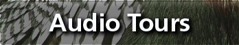 Audio Tours