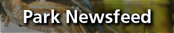 Park Newsfeed