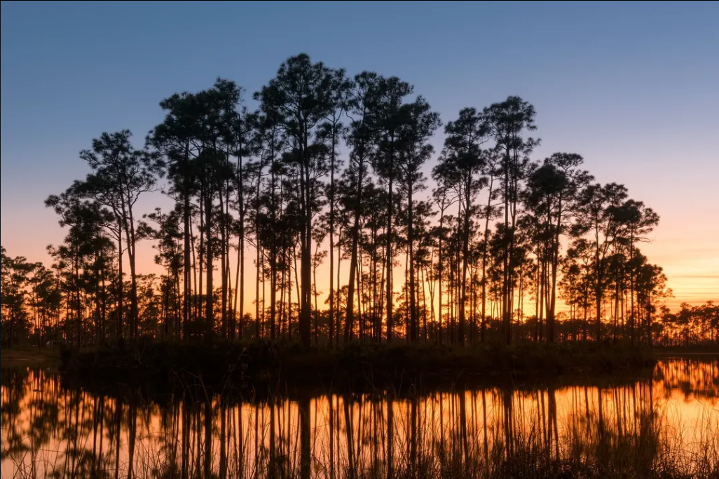 Pine Island Sunset Reflection