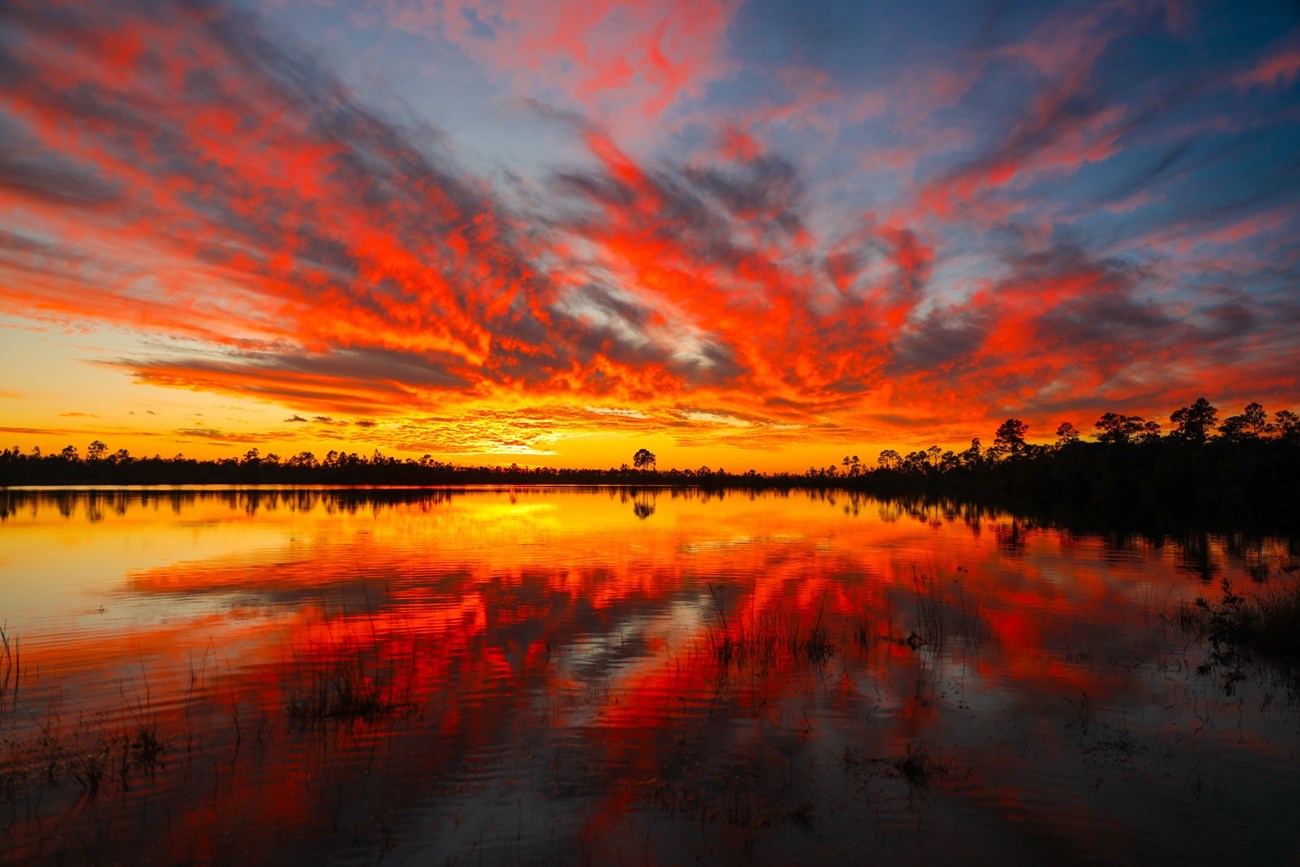 A vibrant orange and red sunset and a treeline are reflected on a body of water.