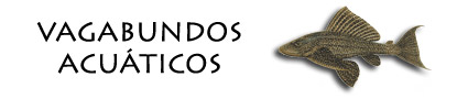 Vagabundos Acuaticos