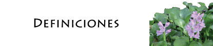 Definiciones Banner