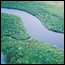 Aerial View of the Harney River