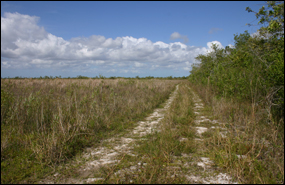 Restored vs. non-restored land