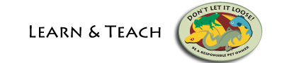 Learn & Teach Banner