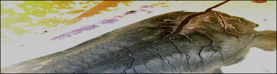 Color Inverted Aerial Photograph of Lake Ingraham
