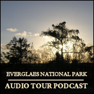 Everglades by Car Audio Tour Podcast artwork