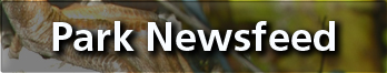 Park Newsfeed
