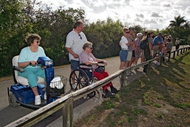 Accessible Ranger-Led Program on the Anhinga Trail