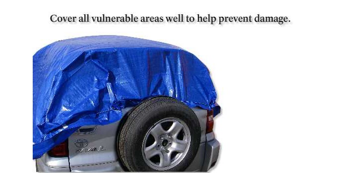 Cover all vulnerable areas well to help prevent damage.