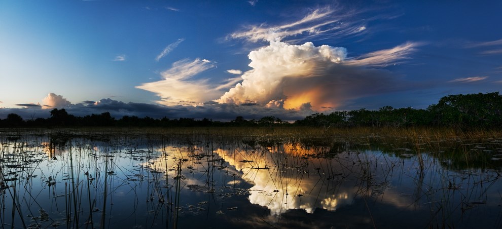 A cloudy sky over a wetland A cloudy sky over a wetland