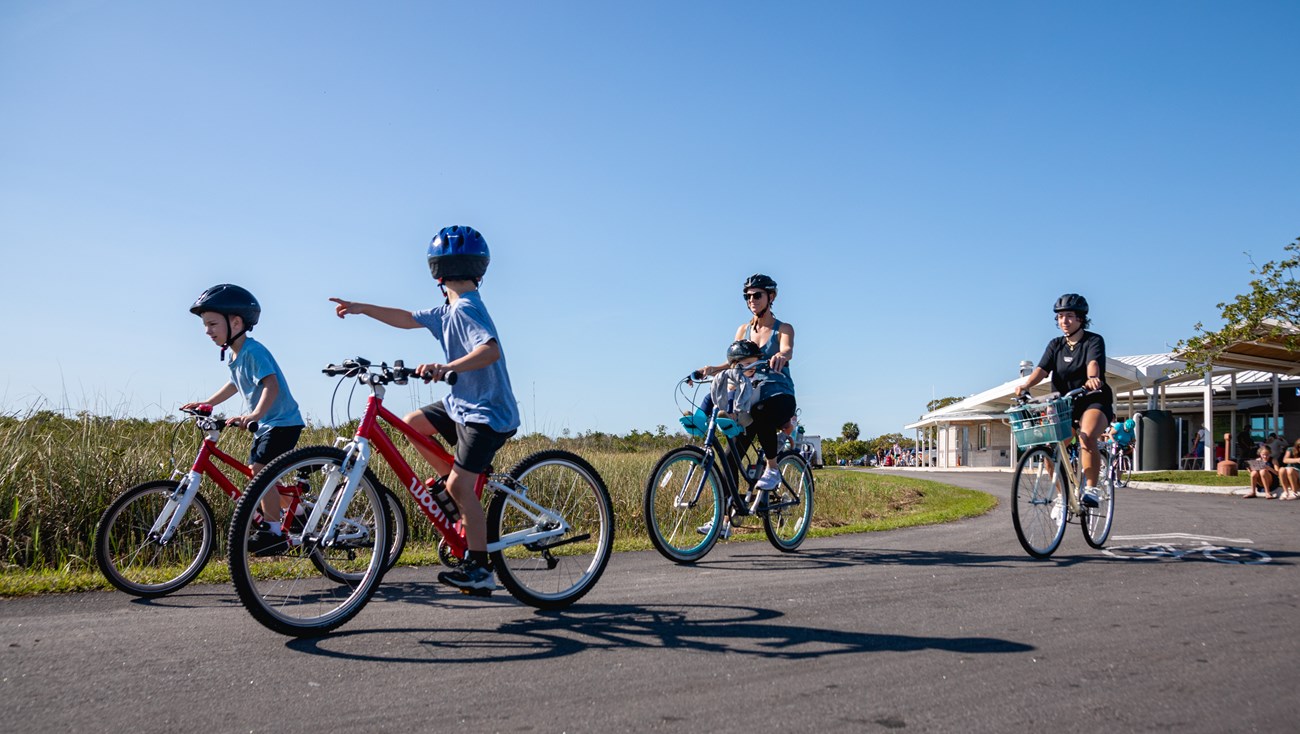 Four cyclists on the Shark Valley Road under a blue sky.