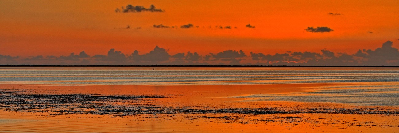 Flats at Sunset with Bird in Background