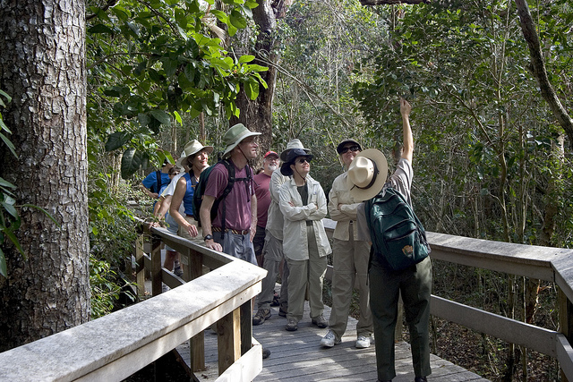 Flamingo Visitor Center - Everglades National Park (U.S 