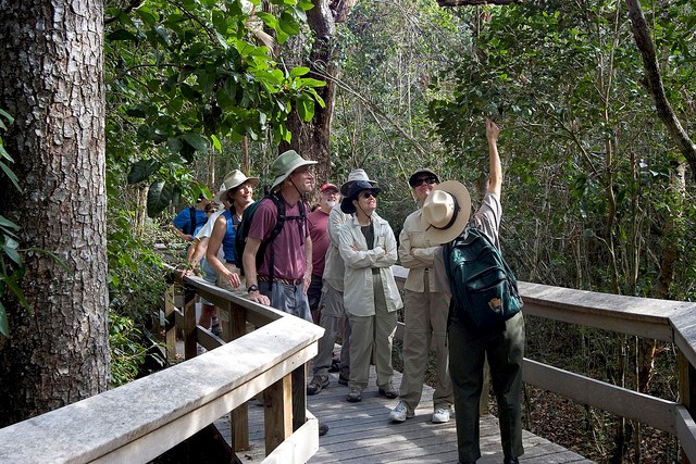 Flamingo Visitor Center - Everglades National Park (U.S ...