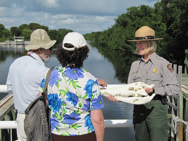 Flamingo Ranger-Led Program Flamingo Ranger-Led Program