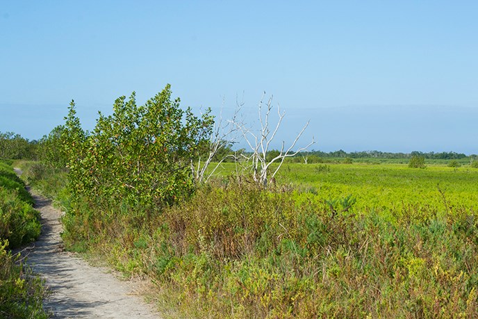 Coastal Prairie Hiking Trail