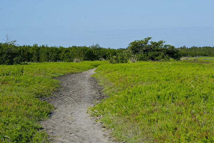 coastal prairie trail - everglades national park u.s