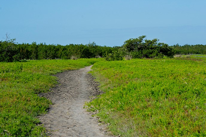 Coastal Prairie Hiking Trail