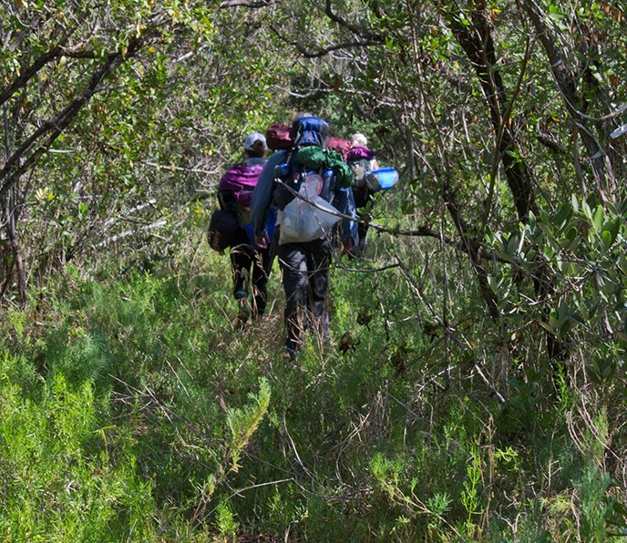 Coastal Prairie Hiking Trail