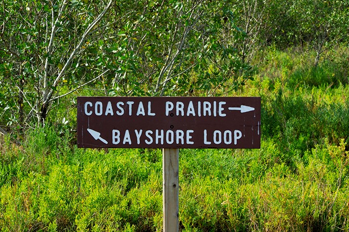 Coastal Prairie Hiking Trail Bayshore Loop