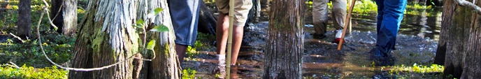 slough slog