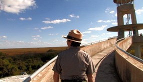 Hola Everglades video