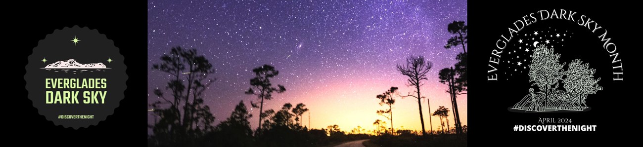 Banner image of the dark sky with logos on either side "Everglades Dark Sky" and Everglades Dark Sky Month.