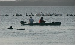 Boaters fishing in Florida Bay Boaters fishing in Florida Bay