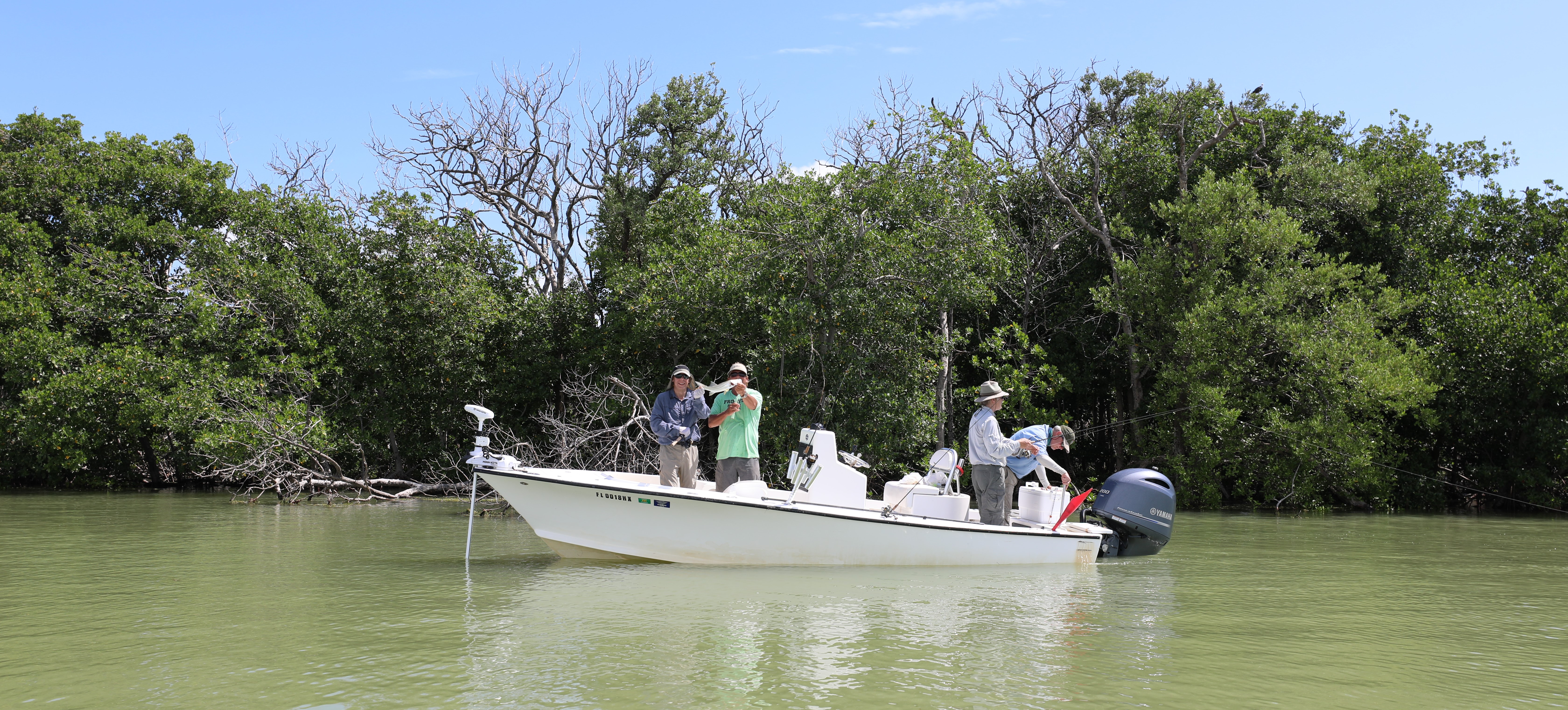 Go Fish: Cast Away Conflict