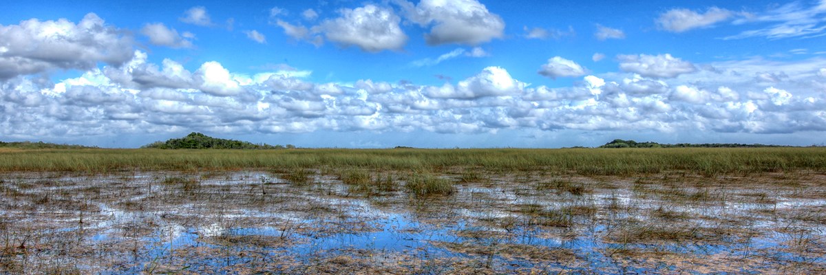 Wet Season over the Sawgrass Prairie Wet Season over the Sawgrass Prairie