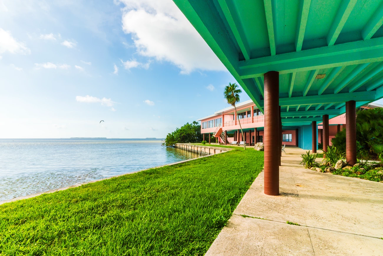 Florida Bay Garden Bright green grass growing along a seawall under a pink two-story building