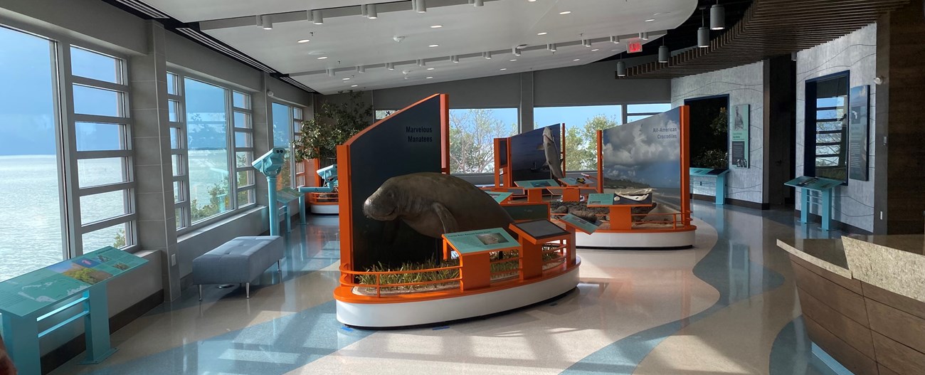 Inside a building with a window overlooking the ocean, we see several exhibits. These include exhibits with a life-size manatee and a life-size crocodile.