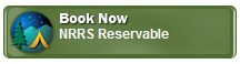 Book Now Button Book Now Button