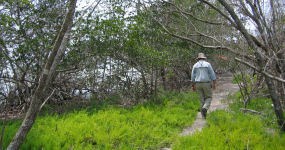 Bayshore Loop Trail