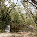 Bear Lake Trail