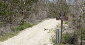 Bear Lake Trail