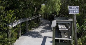 Bobcat Boardwalk Trail