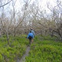 Christian Point Trail