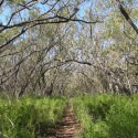 Coastal Prairie Trail