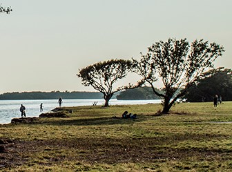 flamingo camping