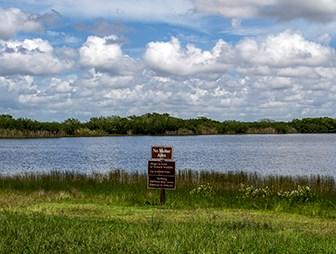 nine mile pond