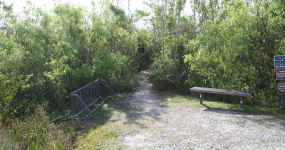 Otter Cave Hammock Trail