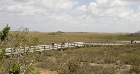 Pahayokee Boardwalk