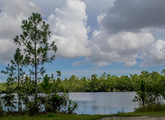 pine glade lake