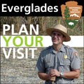 Plan Your Visit Videos
