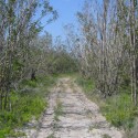 Rowdy Bend Trail